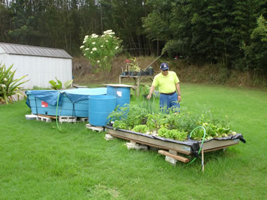 AquaFuelPonics in Full Production